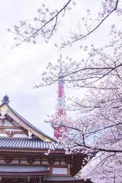 东京塔樱花花朵包围