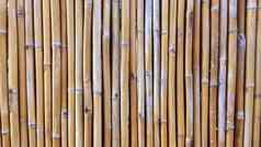 竹子墙竹子栅栏纹理背景