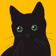 黑色的猫绿色眼睛