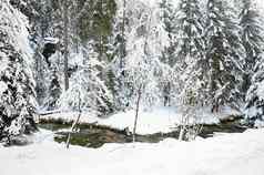 冬天景观波西米亚瑞士