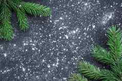 绿色圣诞节树分支机构冬天雪花黑色的空间