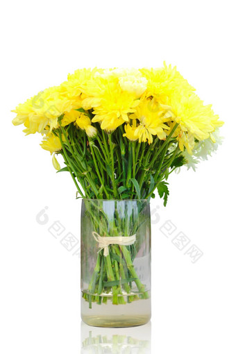 黄色的菊花花花瓶孤立的剪裁路径