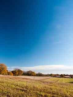 空开放草土地农场土地场景平原农业蓝色的天空