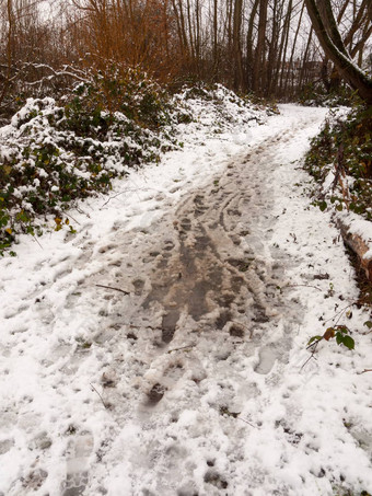 雪覆盖脏森林路径地板上人行道纹理