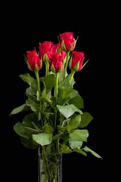花束新鲜的红色的玫瑰