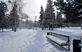 小巷城市公园板凳上前景冬<strong>天降</strong>雪