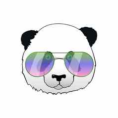 手画熊猫太阳眼镜赶时髦的人熊猫熊插图肖像镜子太阳镜