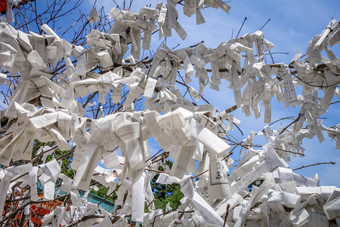 Omikuji树平安时代的神宫神社寺庙《京都议定书》日本