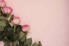 惊人的粉红色的花束玫瑰头昏眼花的粉红色的背景复制空间花框架婚礼礼物卡情人节一天母亲一天背景