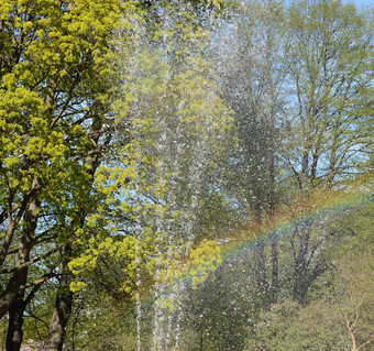 彩虹抓住了水喷雾公园喷泉