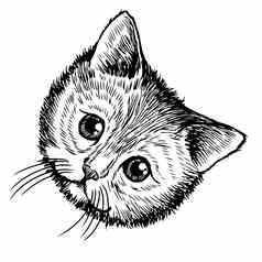 徒手画的草图插图猫小猫