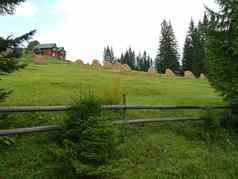 房子干草堆木栅栏绿色坡山包围绿色高冷杉树多云的天空的地方休息旅游野餐