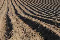 地球脊土豆场春天种植土豆农业