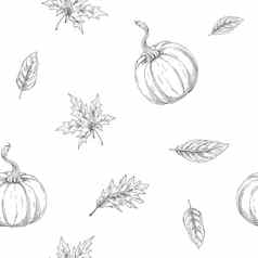 无缝的秋天主题模式南瓜叶子轮廓秋天收获集合插图