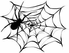 黑色的蜘蛛撕裂网络可怕的蜘蛛网万圣节象征孤立的白色插图