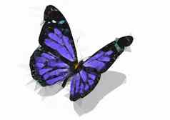 多边形蝴蝶孤立的白色低聚昆虫插图三角形颜色动物图像