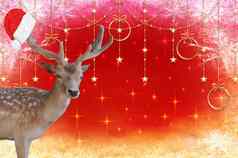 快乐圣诞节驯鹿圣诞老人老人他鹿角孤立的美丽的装饰背景