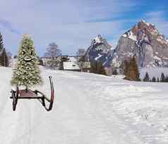 快乐圣诞节快乐微笑圣诞节松树滑动山雪橇冬天山景观
