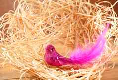 鸟稻草巢粉红色的羽毛闪闪发光的