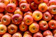 新鲜多汁的选堆红色的苹果色彩斑斓的水果模式