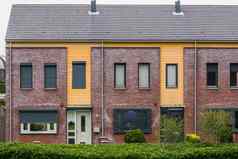 梯田房子装饰多样化的植物现代荷兰体系结构村房屋荷兰