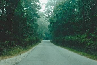神秘的多雾的森林路天哪马纳利高速公路阳光农村风景空农村污垢湿路领先的树郁郁葱葱的树叶旅行旅游自然背景概念
