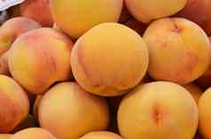 油桃桃子杏子新鲜的成熟的水果背景复制空间