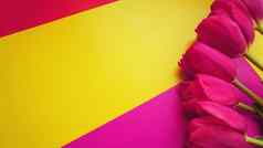 粉红色的色彩斑斓的郁金香色彩斑斓的背景复制空间