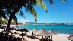 椅子伞棕榈海滩热带假期横幅