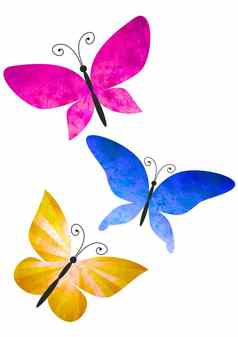 色彩斑斓的蝴蝶孤立的白色水彩画插图