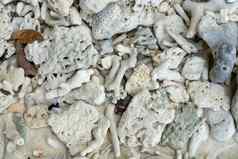 白色破碎的死珊瑚海滩自然背景泰国海