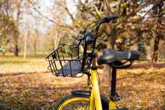 黄色的自行车下降叶子设置太阳秋天公园