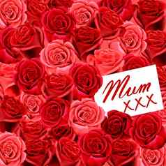 母亲的一天生日卡红色的玫瑰