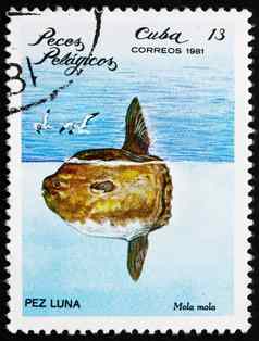 邮资邮票古巴海洋翻车鱼