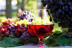 玻璃酒群葡萄红色的酒玻璃