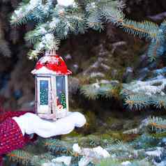 美丽的红色的装饰圣诞节灯笼温暖的连指手套
