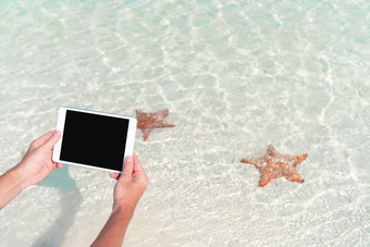 特写镜头移动PC背景绿松石海洋热带海滩照片海星自然储备