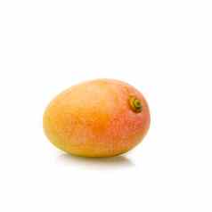 新鲜的黄色的芒果水果孤立的白色背景