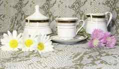 茶杯子糖碗camomiles粉红色的野生花