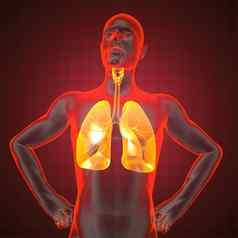 人类胸部射线照相法