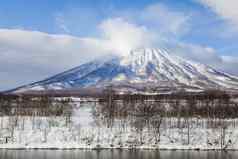 山羊北海道日本