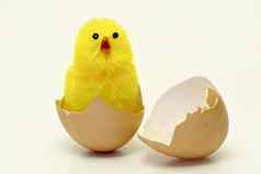复活节鸡蛋壳