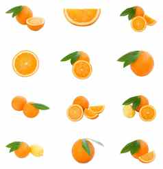 集橙子