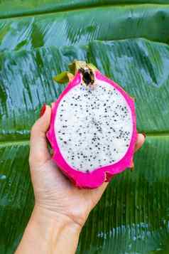 女孩持有手成熟的减少龙水果背景热带花园第一人称视图维生素水果健康的食物