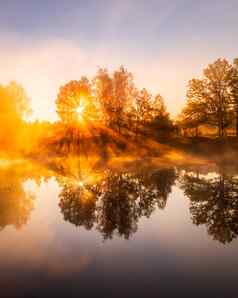 金有雾的日出池塘秋天早....树射线太阳切割反映了水