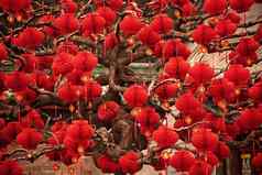 幸运的红色的灯笼中国人月球一年装饰地坛公园