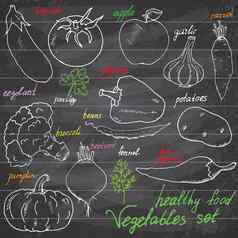 vegetebles集草图punpkin番茄茄子土豆辣椒涂鸦集刻字手绘向量插图黑板背景