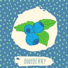 蓝莓手画勾勒出水果叶蓝色的背景点模式涂鸦向量蓝莓标志标签品牌身份