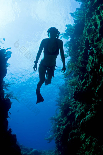 加勒比海freediver