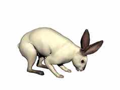 跳来跳去跳兔子软盘耳朵